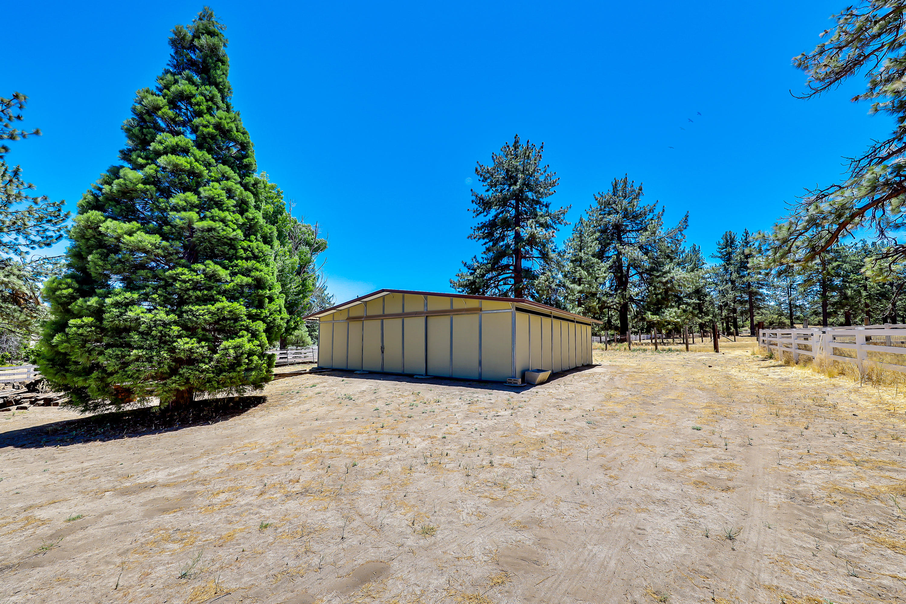 36211 Tool Box Spring Road Mountain Center, CA 92561 - Photo 23 of 26 a view of backyard with plants and trees