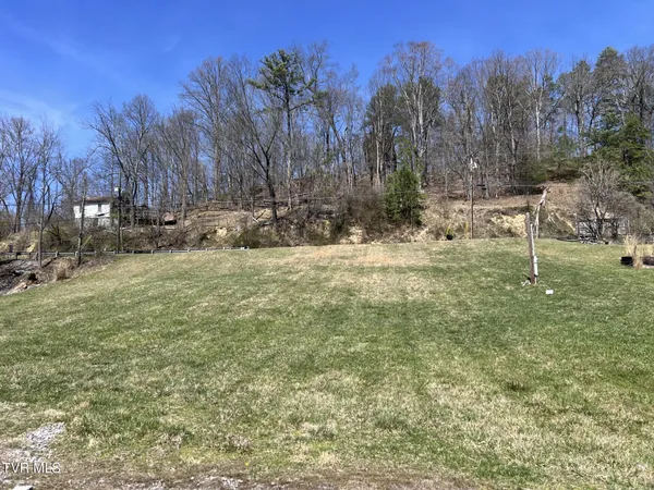 $21,000 | Tbd Chatham Drive, Clintwood, VA 24228