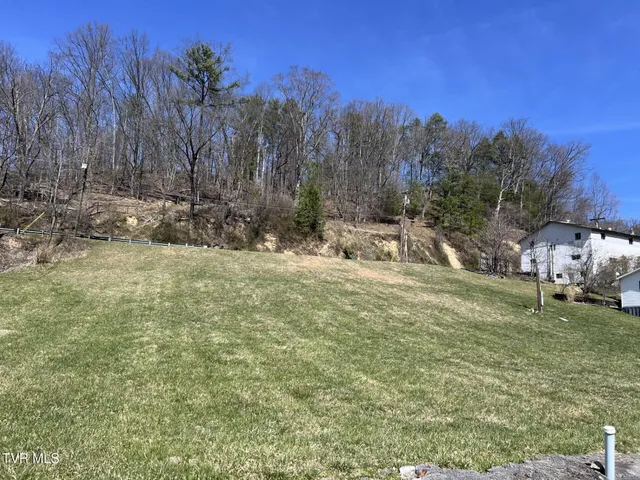 $23,000 | Tbd Chatham Drive, Clintwood, VA 24228