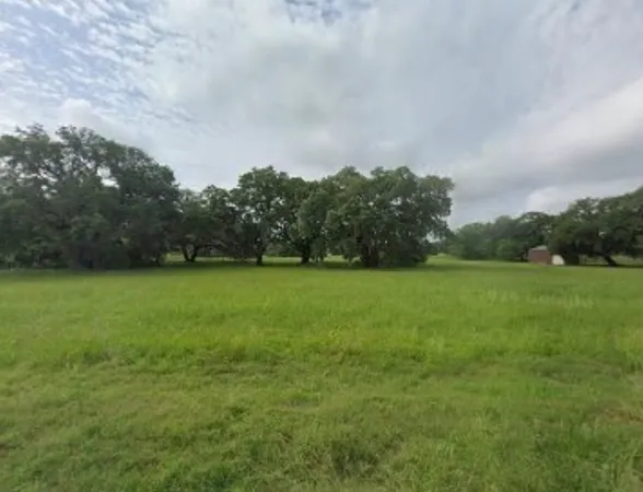 a view of yard with green space