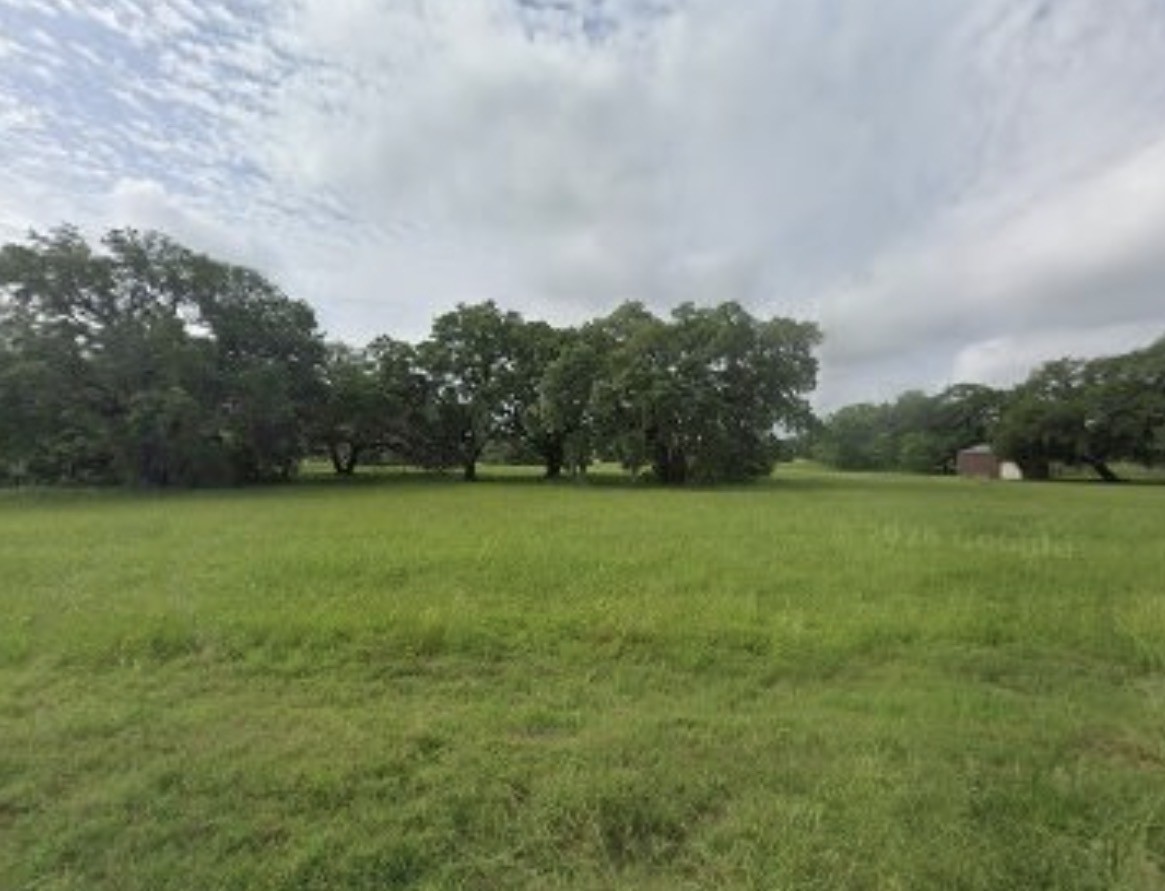 a view of yard with green space