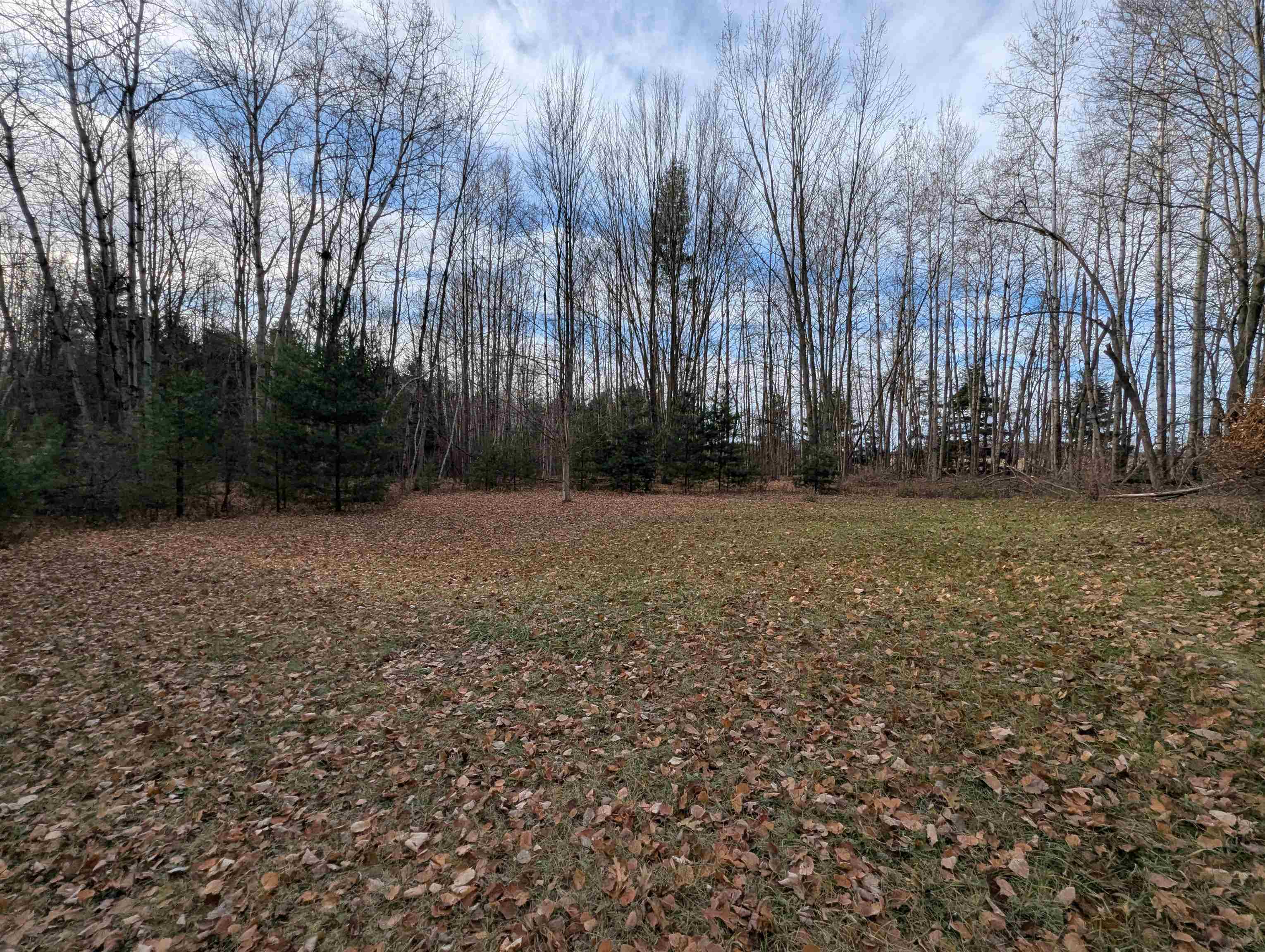 3895 Ellison Road Standish, MI 48658 - Photo 7 of 17 1940866-7a4f4320-6f2f-47ba-bfcf-3333aaa02307.JPG