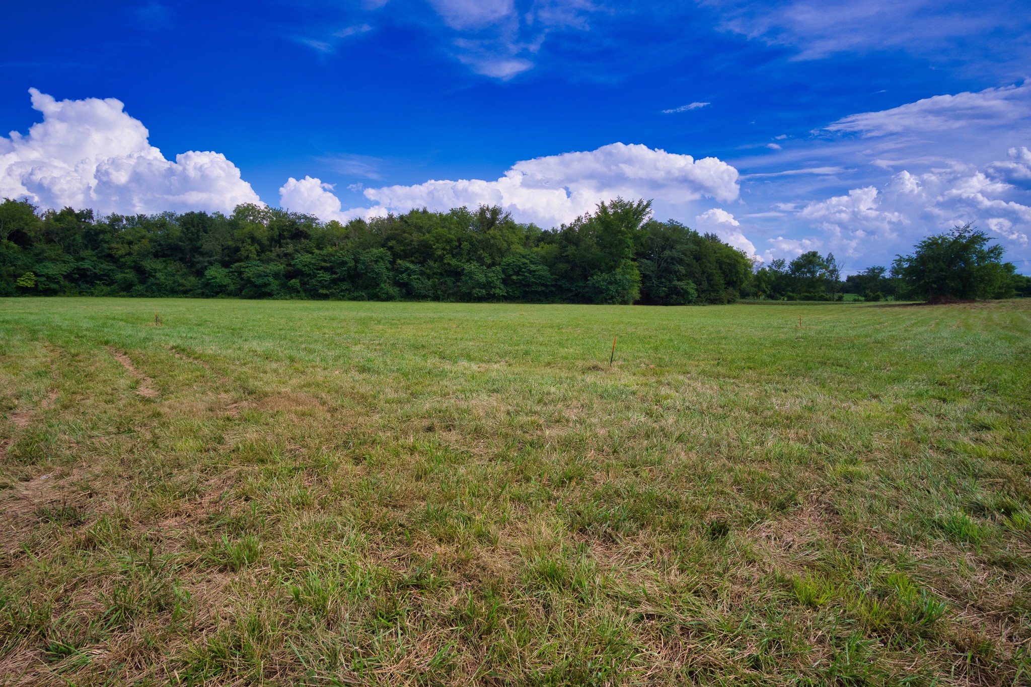 108 County Line Road Bell Buckle, TN 37020 - Photo 21 of 22 a view of a field with an ocean