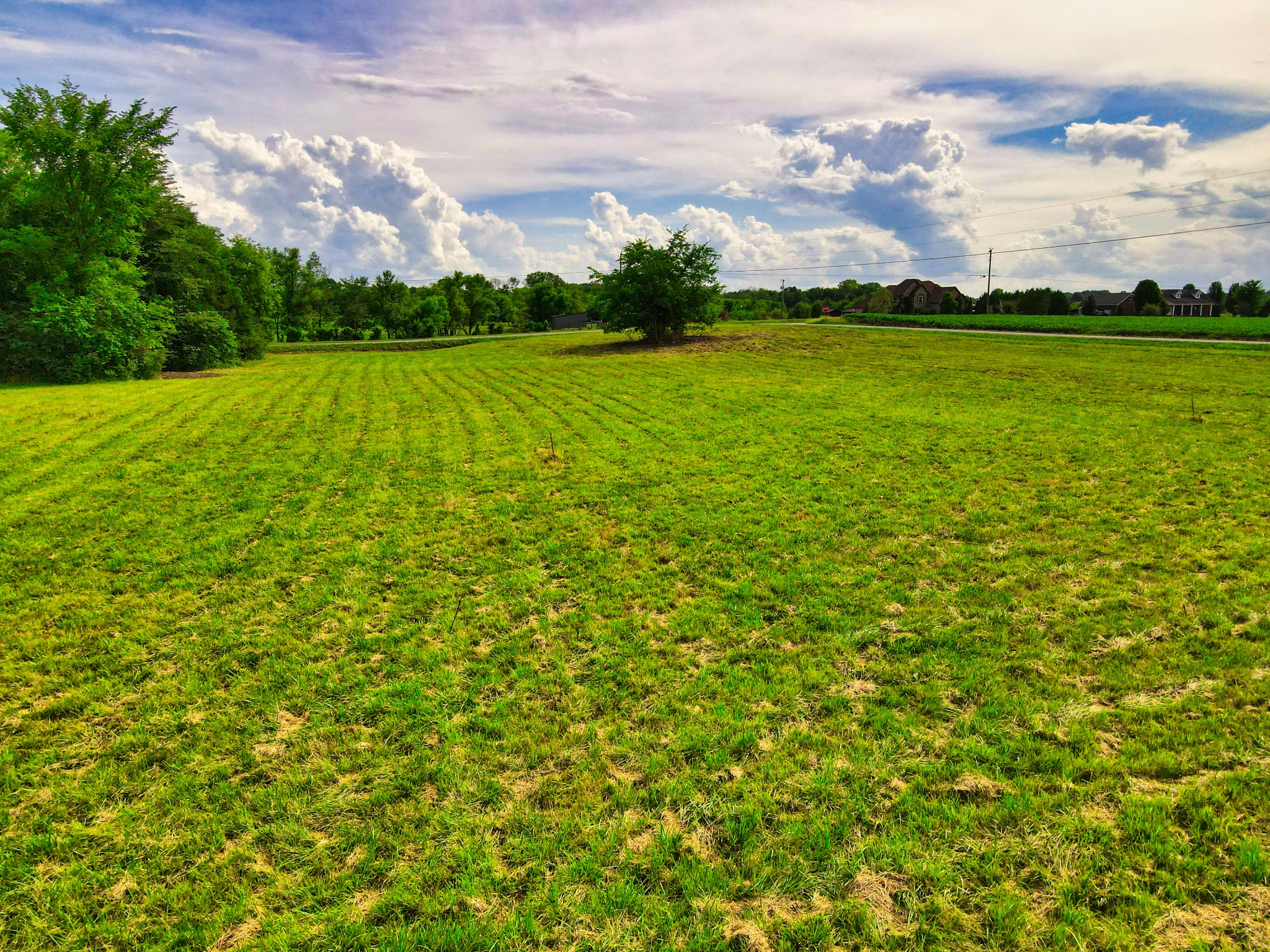 108 County Line Road Bell Buckle, TN 37020 - Photo 4 of 22 a view of an outdoor space and a yard