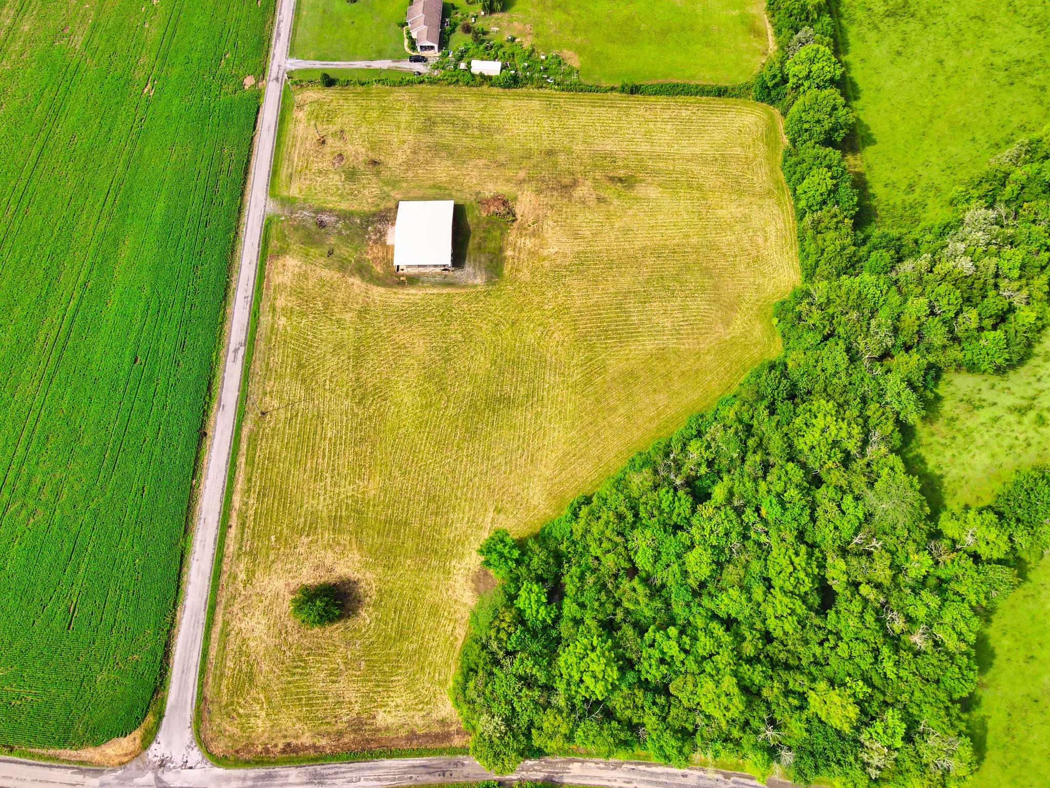 108 County Line Road Bell Buckle, TN 37020 - Photo 5 of 22