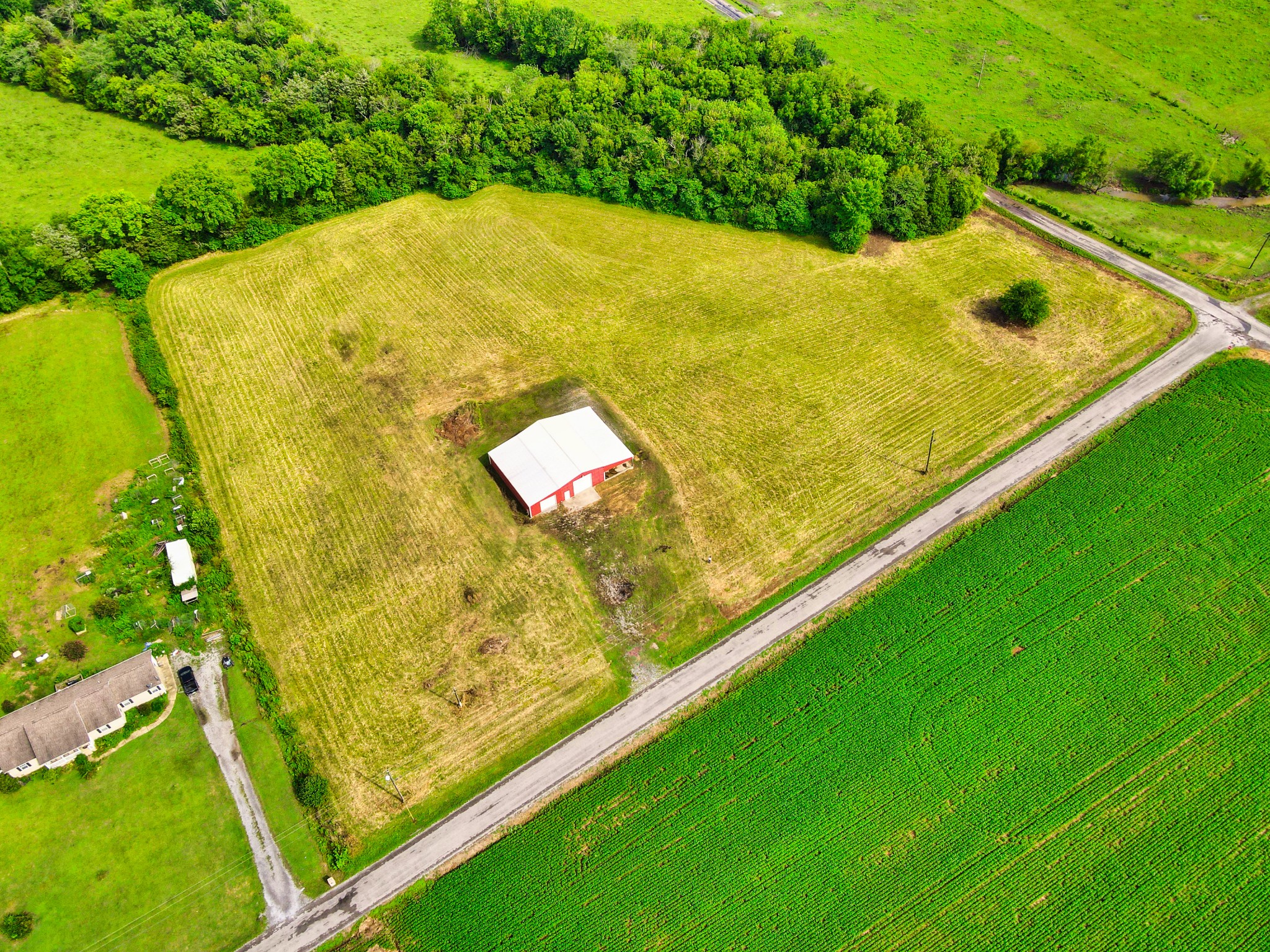108 County Line Road Bell Buckle, TN 37020 - Photo 8 of 22 a view of a back yard