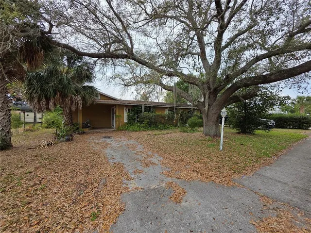 a view of a house with a yard and large tree