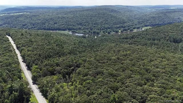 $289,000 | 9568 Highway 97, Callicoon, NY 12723