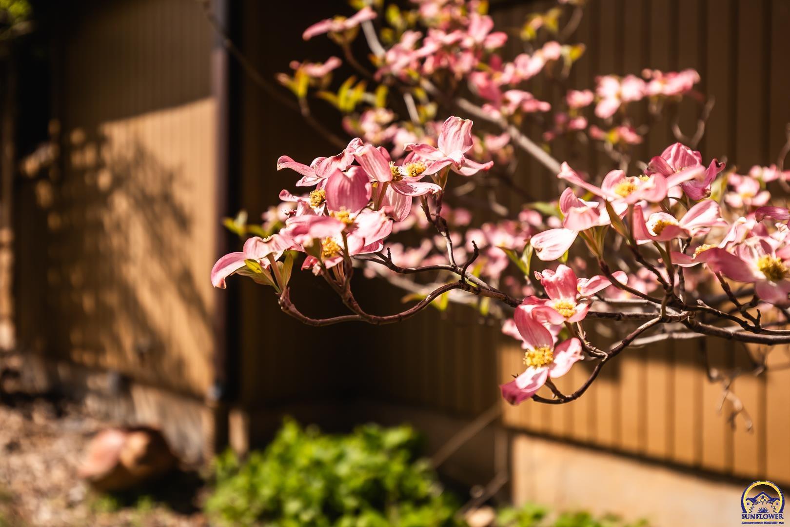 6530 Northwest Rossville Road Rossville, KS 66533 - Photo 61 of 88