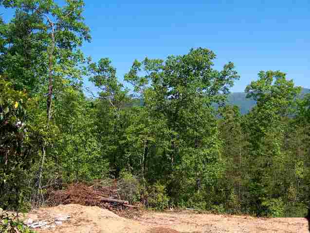 Lot 8 Wren Road Pickens, SC 29671 - Photo 1 of 3 Gallery Image 1