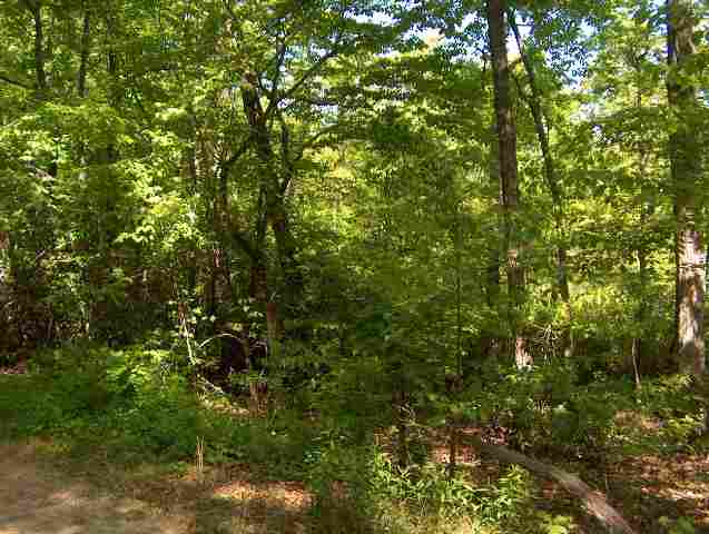 Lot 8 Wren Road Pickens, SC 29671 - Photo 3 of 3 Gallery Image 3