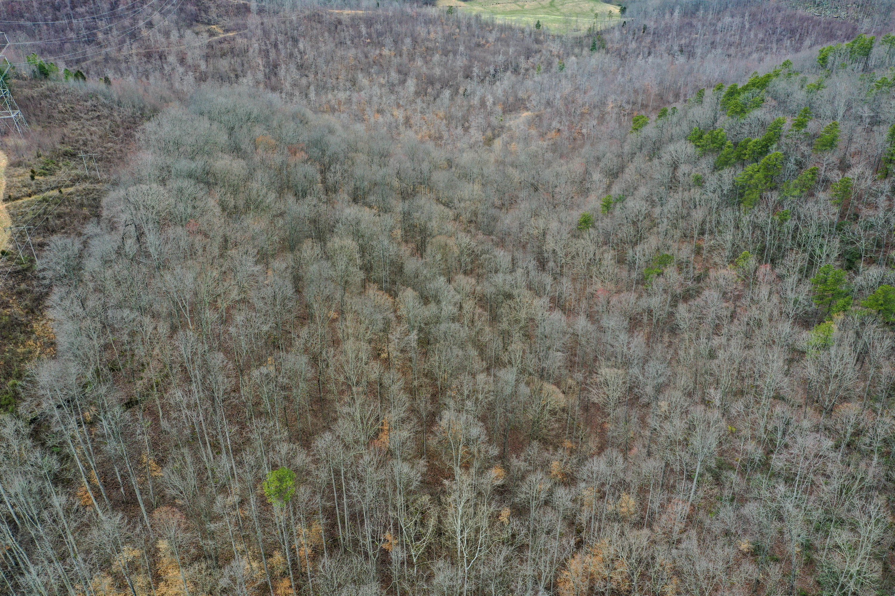 385 Pole Ridge Road Somerset, KY 42501 - Photo 11 of 18 12-DJI_0066