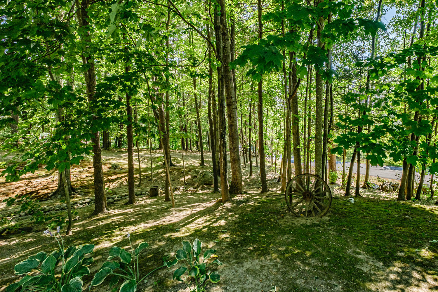 85 Brand Road Windham, ME 04062 - Photo 80 of 106 20200811gp-62089