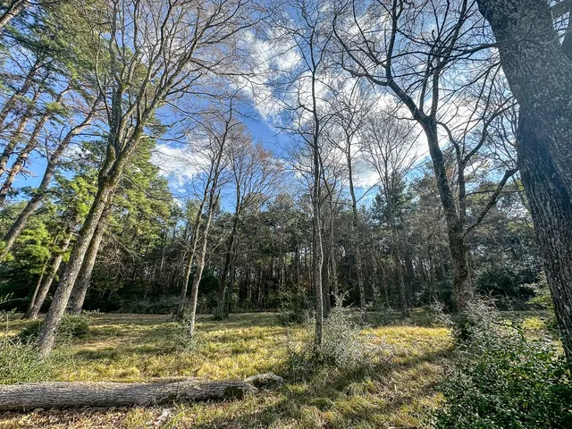 $8,500 | Tbd Jamestown Road, Trinity, TX 75862