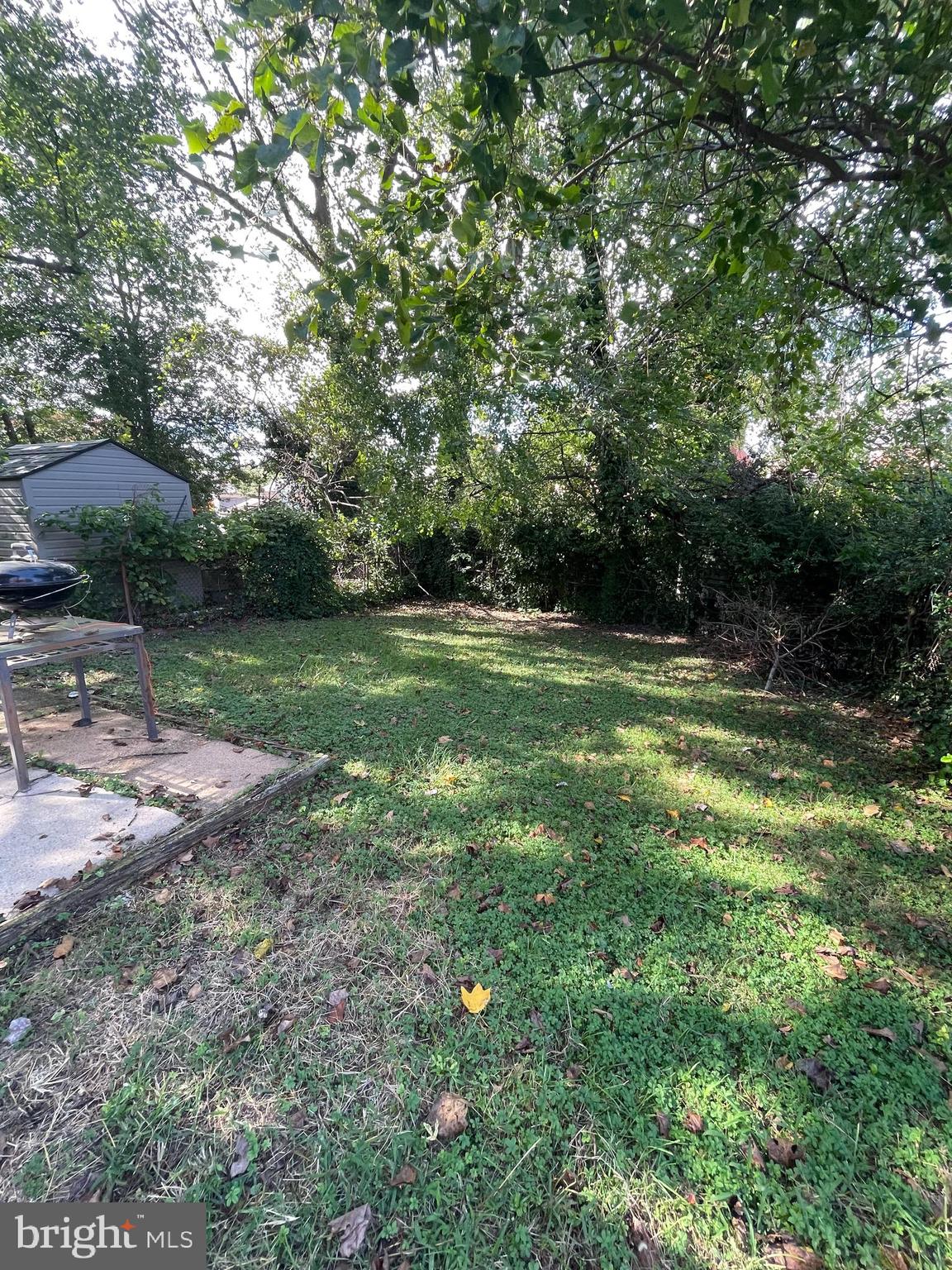 5110 Plymouth Road Baltimore, MD 21214 - Photo 18 of 19 Backyard
