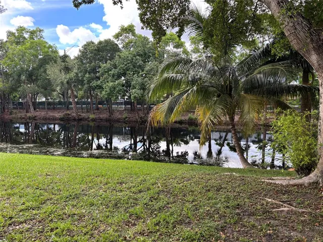a view of a backyard with potted plants and large trees