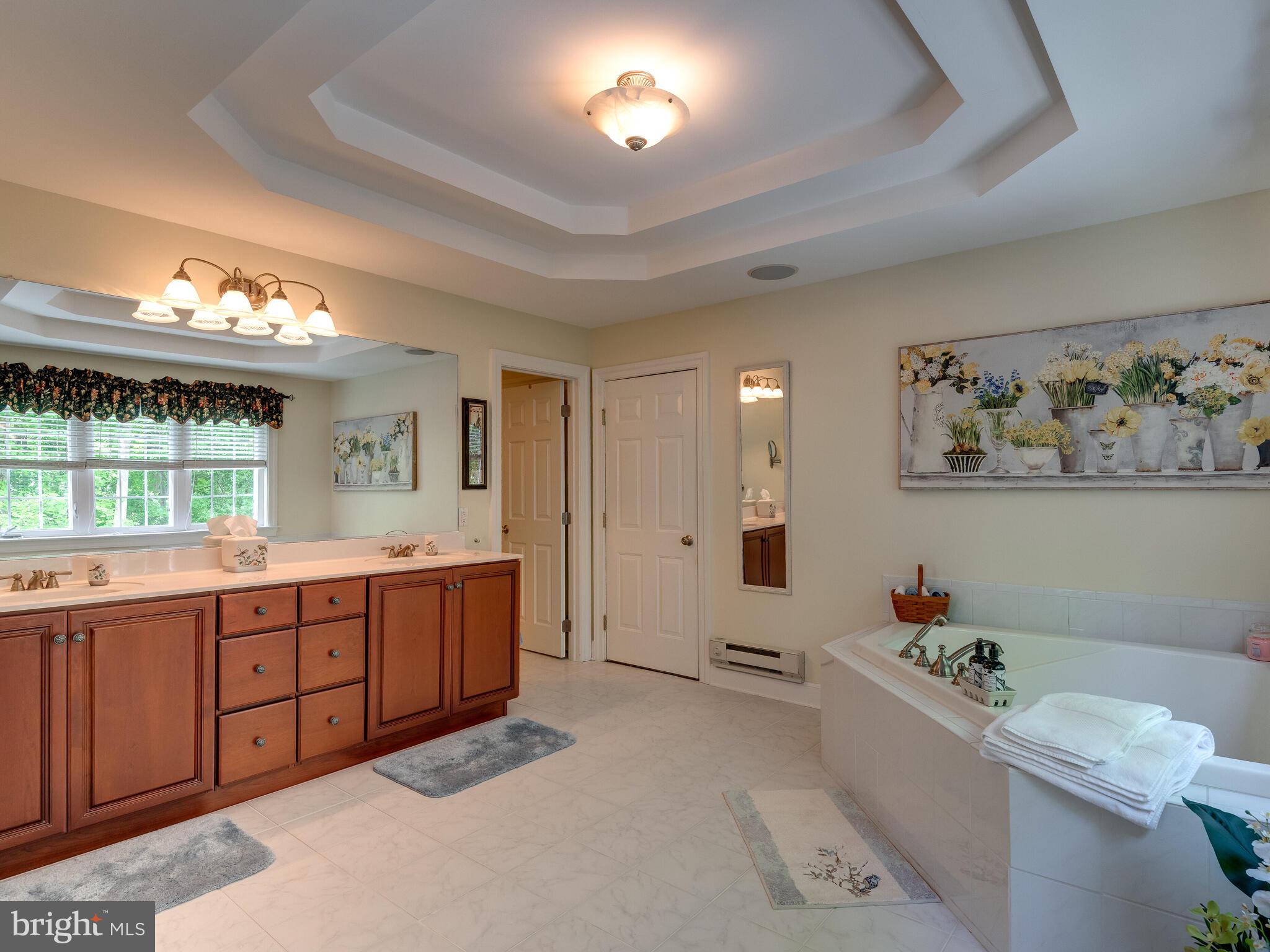 1354 Skelp Level Road Downingtown, PA 19335 - Photo 19 of 76 Master Bath 2nd Floor