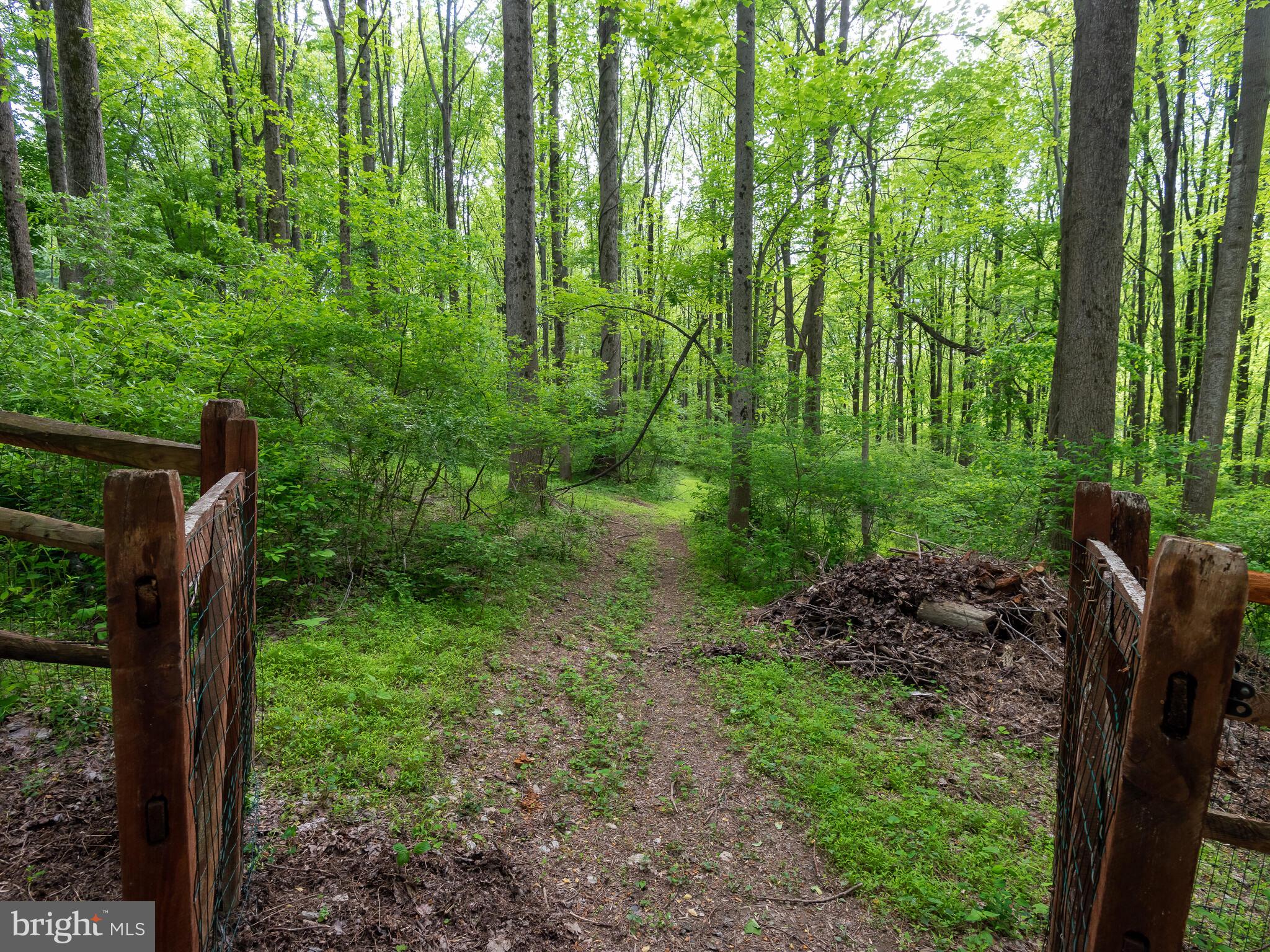 1354 Skelp Level Road Downingtown, PA 19335 - Photo 63 of 76 Back Yard View