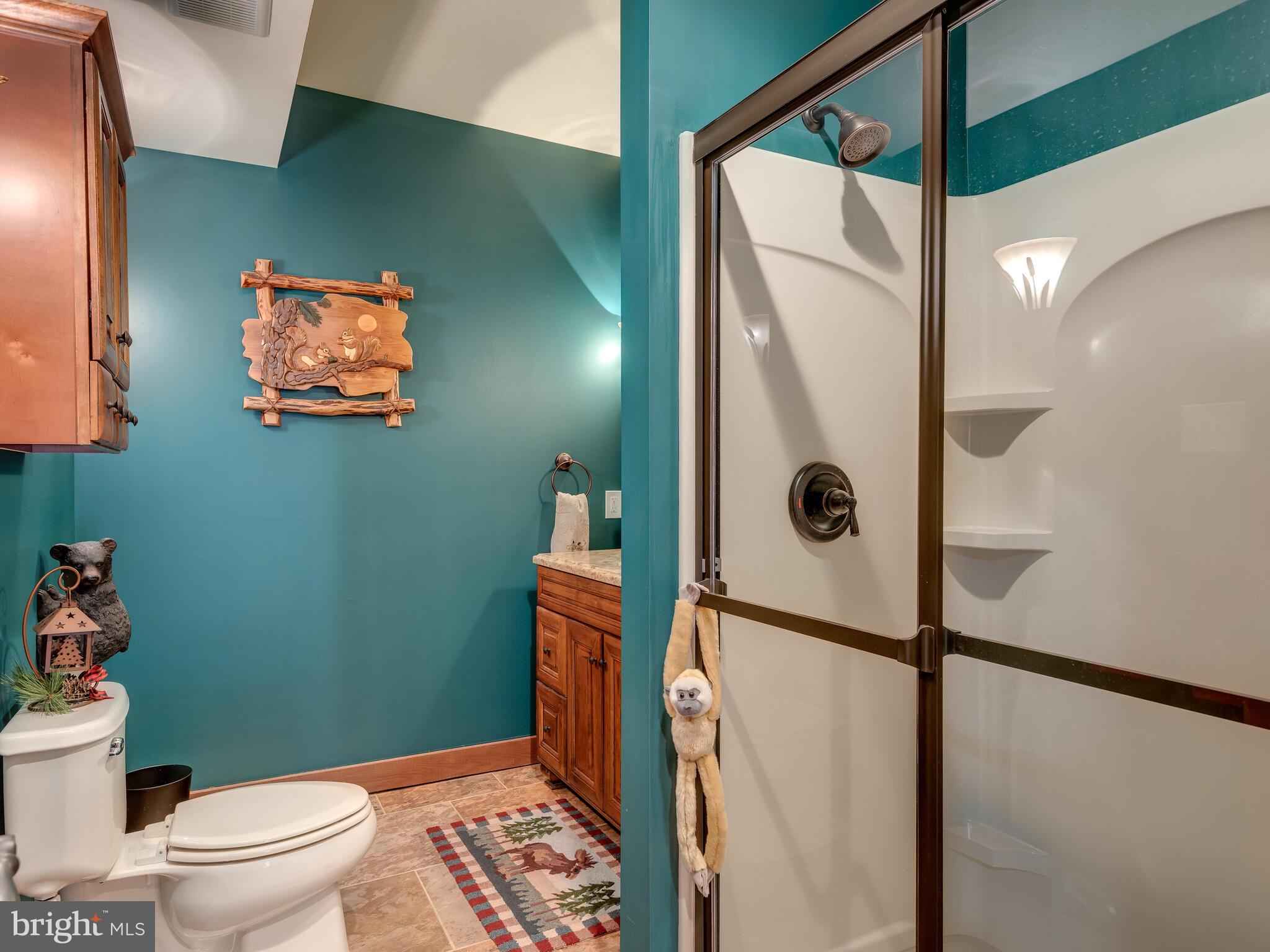 1354 Skelp Level Road Downingtown, PA 19335 - Photo 66 of 76 Third Bath in Finished Lower Level