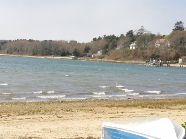 5 Thompson Road, Unit A Bourne, MA 02532 - Photo 9 of 13 a view of ocean view with beach