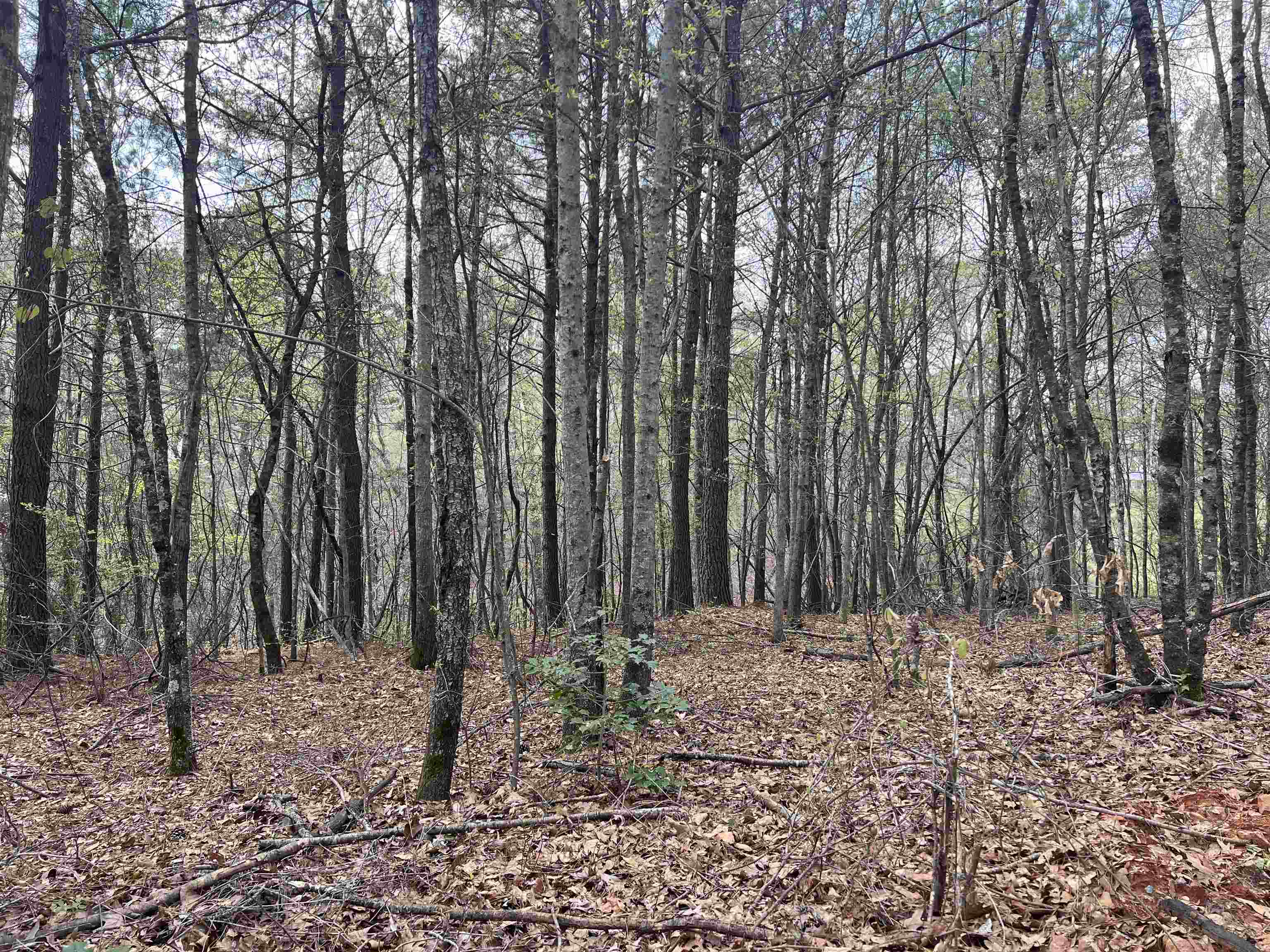 Lot 1 North Mize Road Mount Airy, GA 30563 - Photo 1 of 1 Gallery Image 1