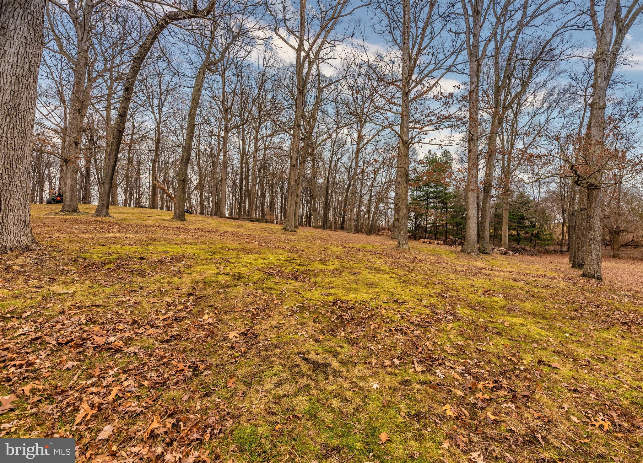 2805 Thurston Road Frederick, MD 21704 - Photo 64 of 71 Gallery Image 64