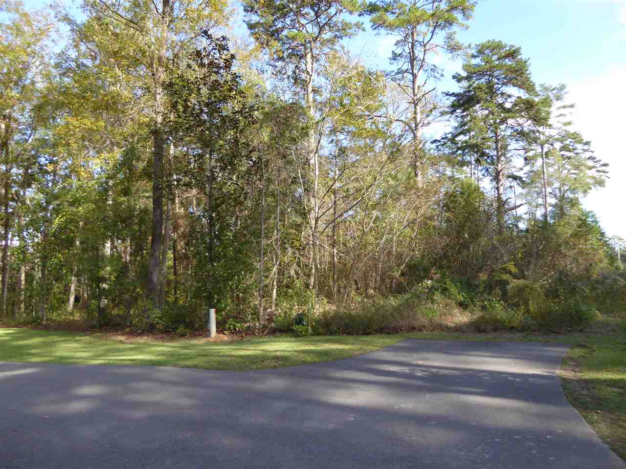 3321 Martin Hurst Road Tallahassee, FL 32312 - Photo 6 of 11 Gallery Image 6
