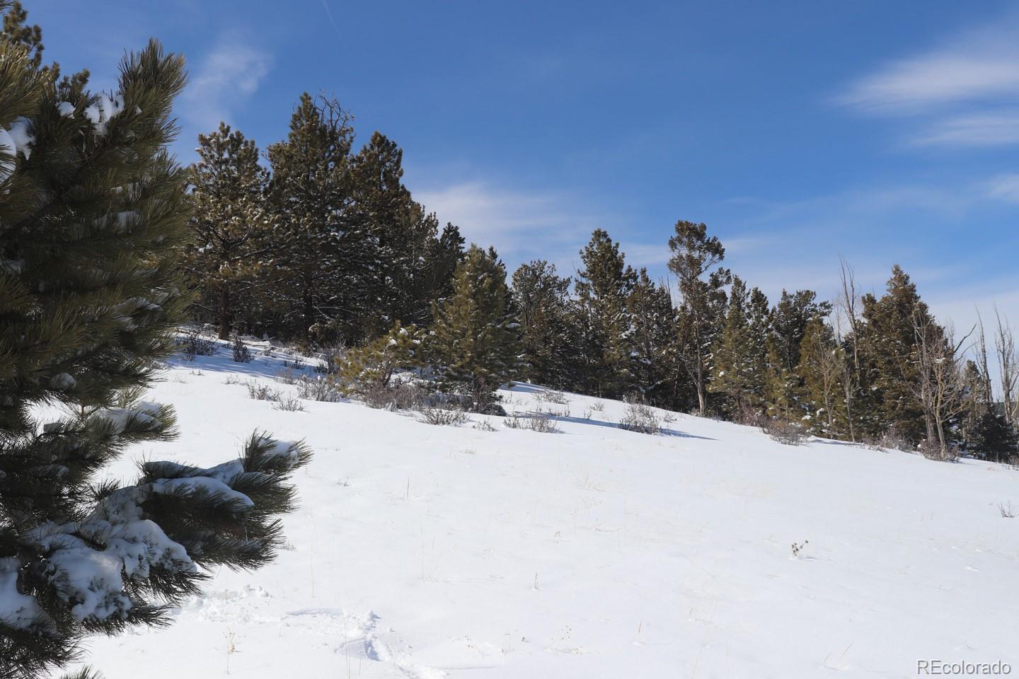 7620 Ranch Road Hartsel, CO 80449 - Photo 5 of 19