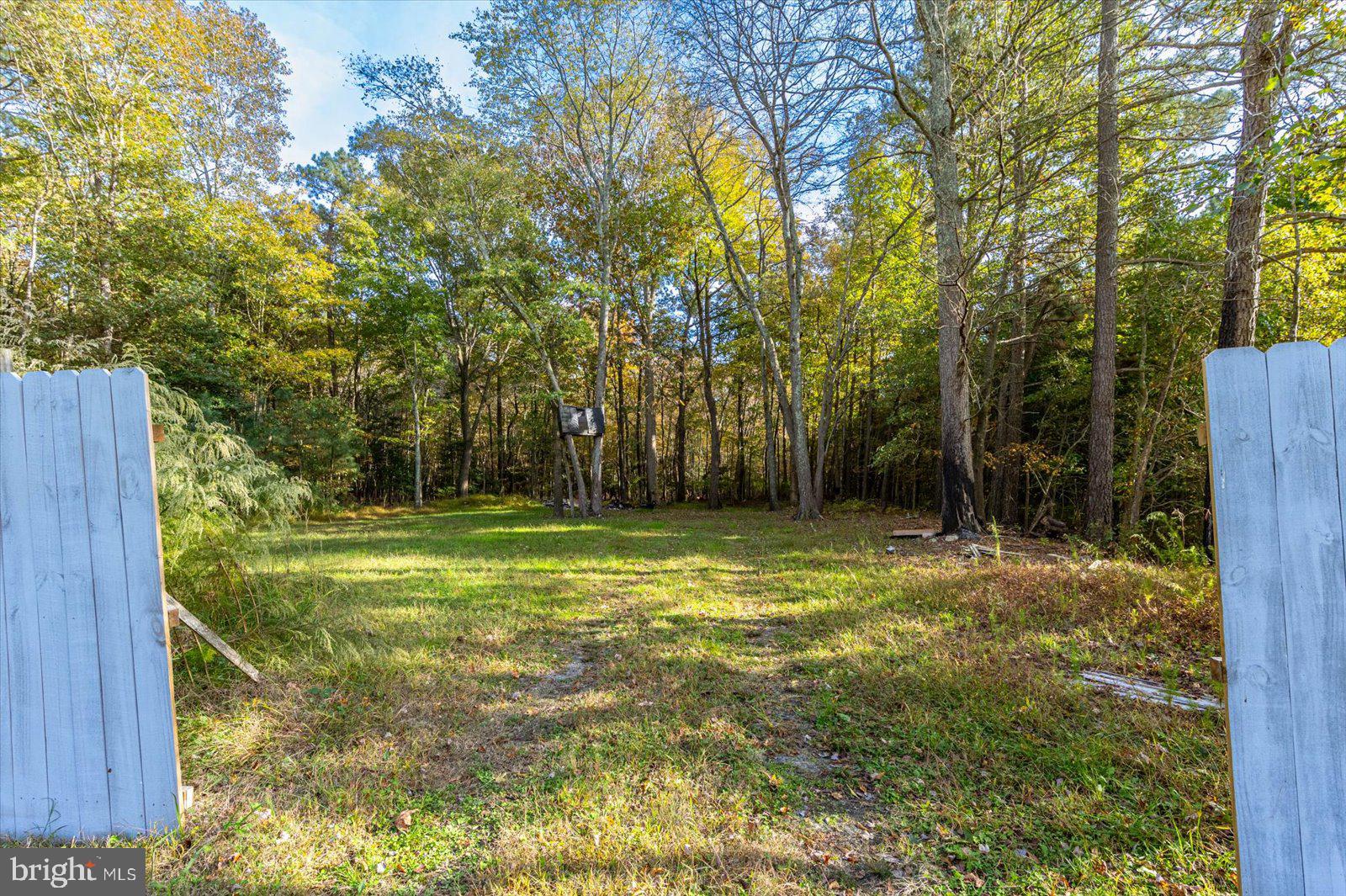 26571 Walnut Tree Road Eden, MD 21822 - Photo 22 of 23
