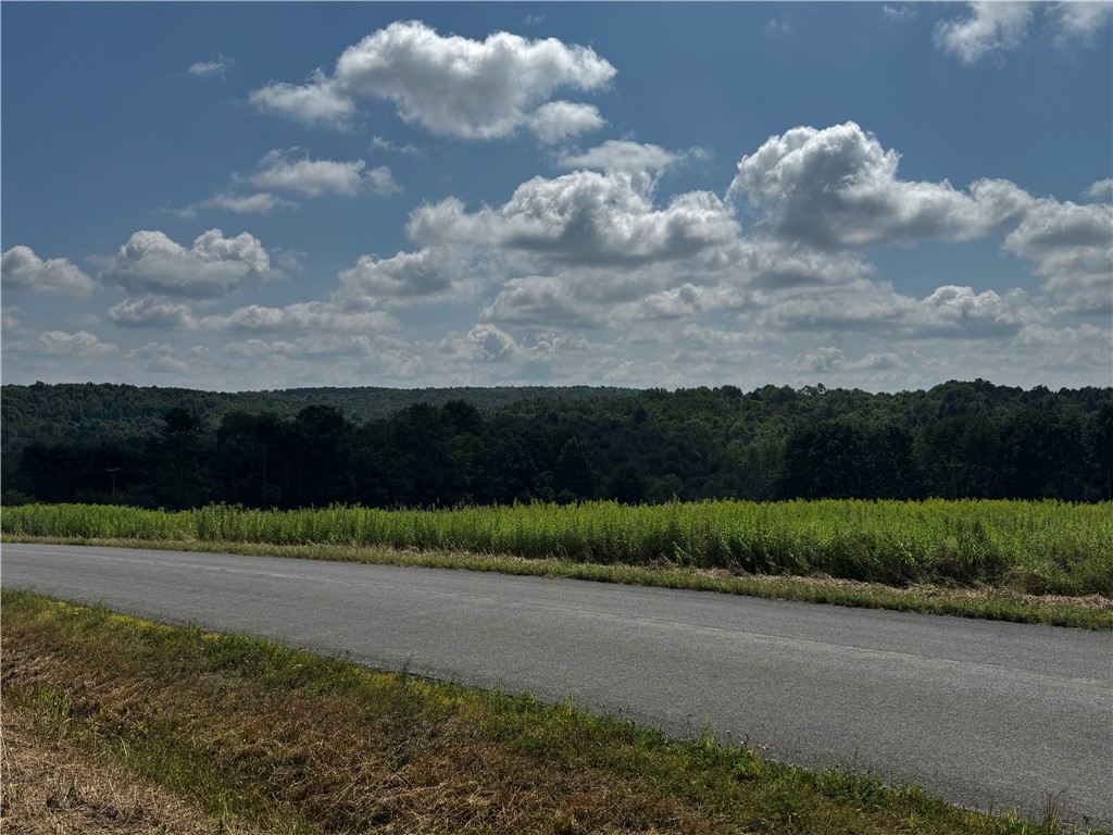 513 Ramey Road Pittsfield, NY 13411 - Photo 6 of 7