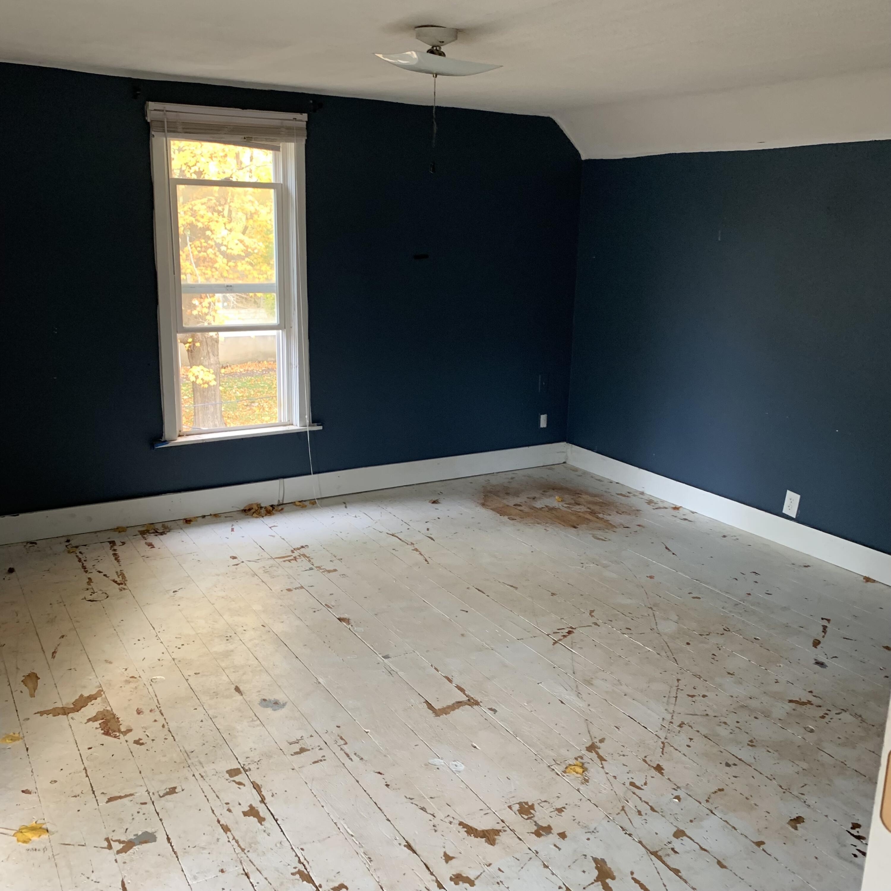 417 South Center Street Hartford, MI 49057 - Photo 20 of 22 IMG_5820