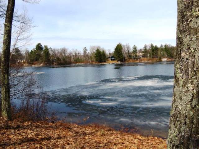 7838 Hixon Road Minocqua, WI 54548 - Photo 9 of 20 Gallery Image 9
