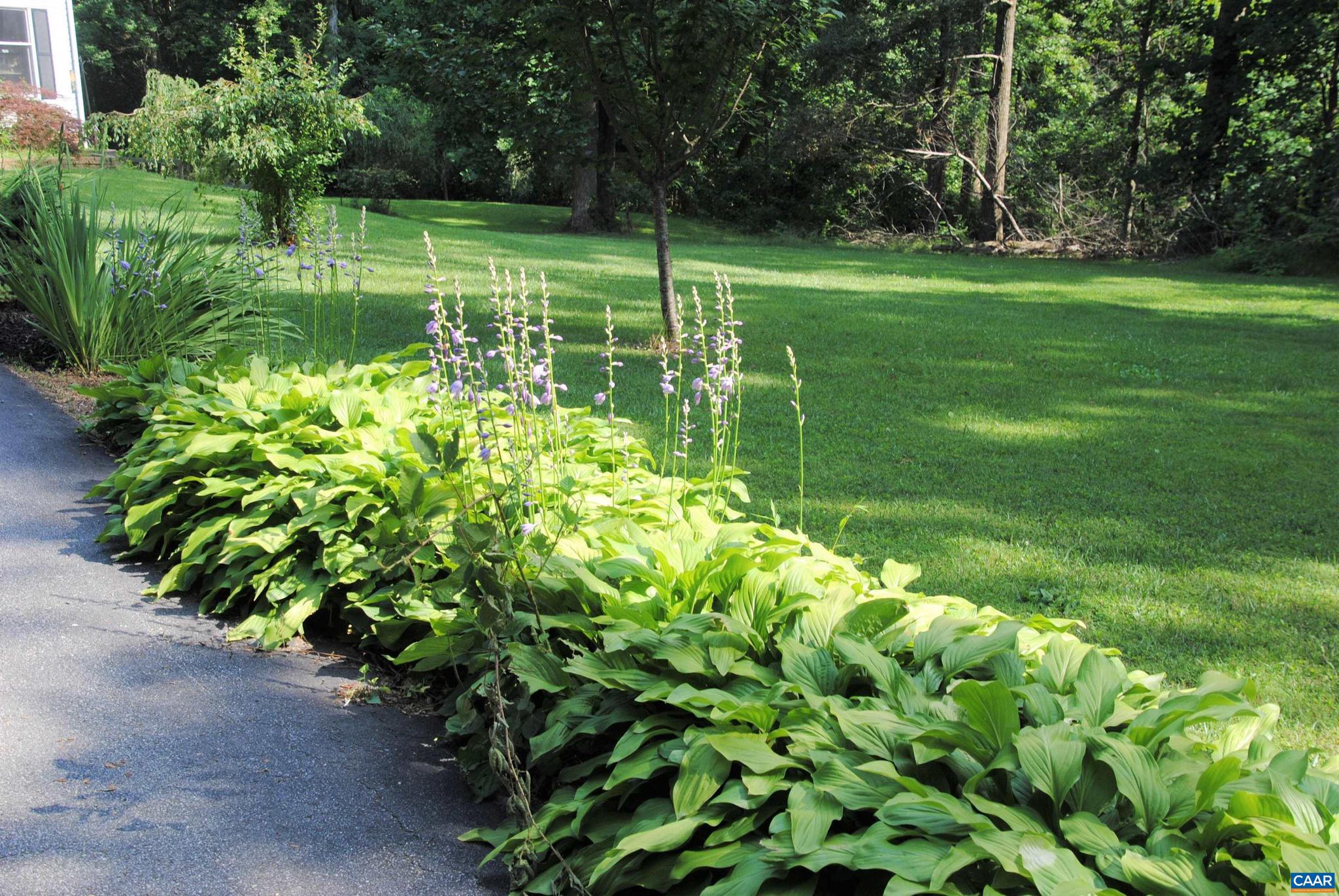 13147 Tower Road Unionville, VA 22567 - Photo 35 of 43