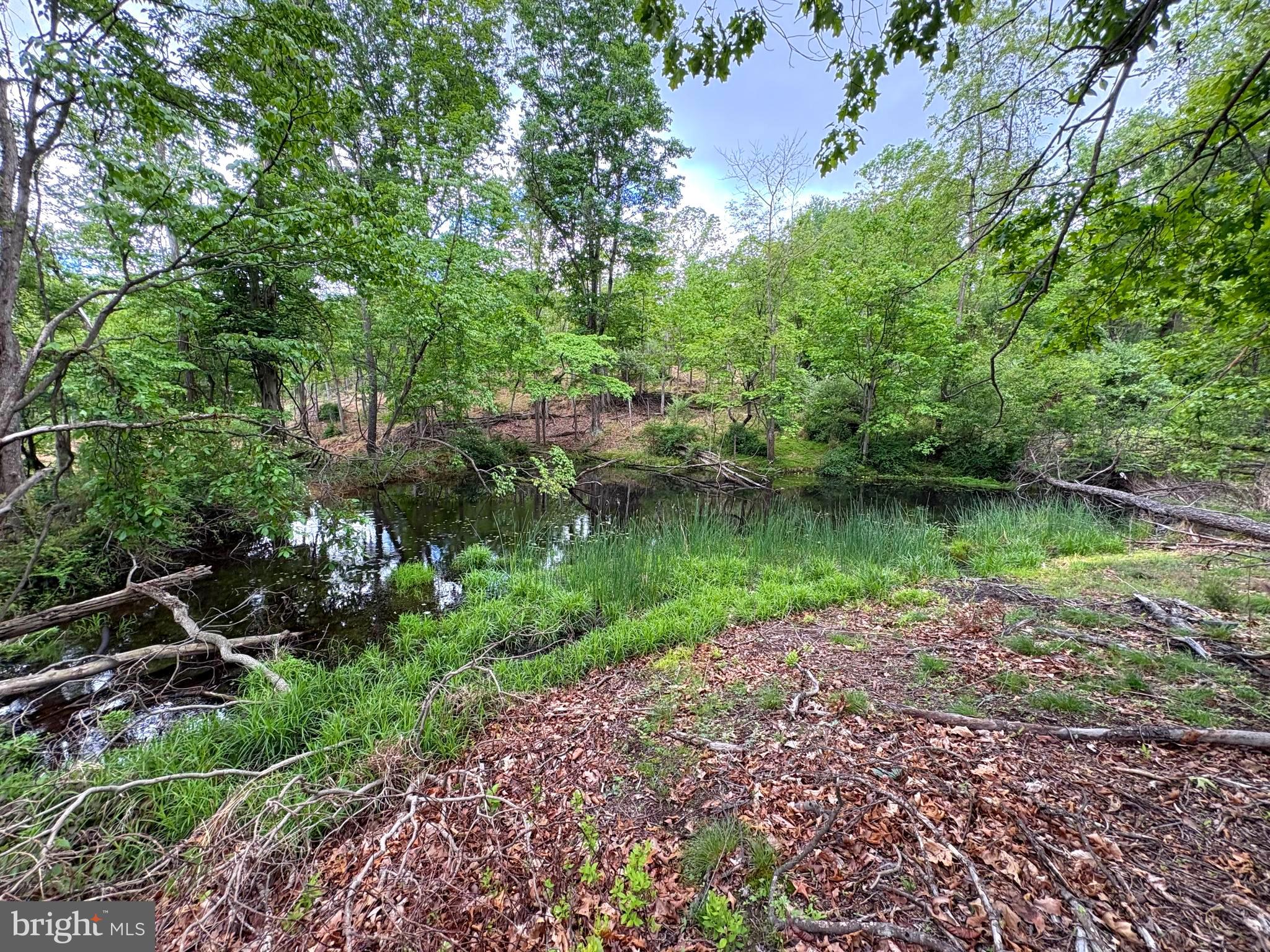 40.15-ac Middle Ridge Road Burlington, WV 26710 - Photo 10 of 47