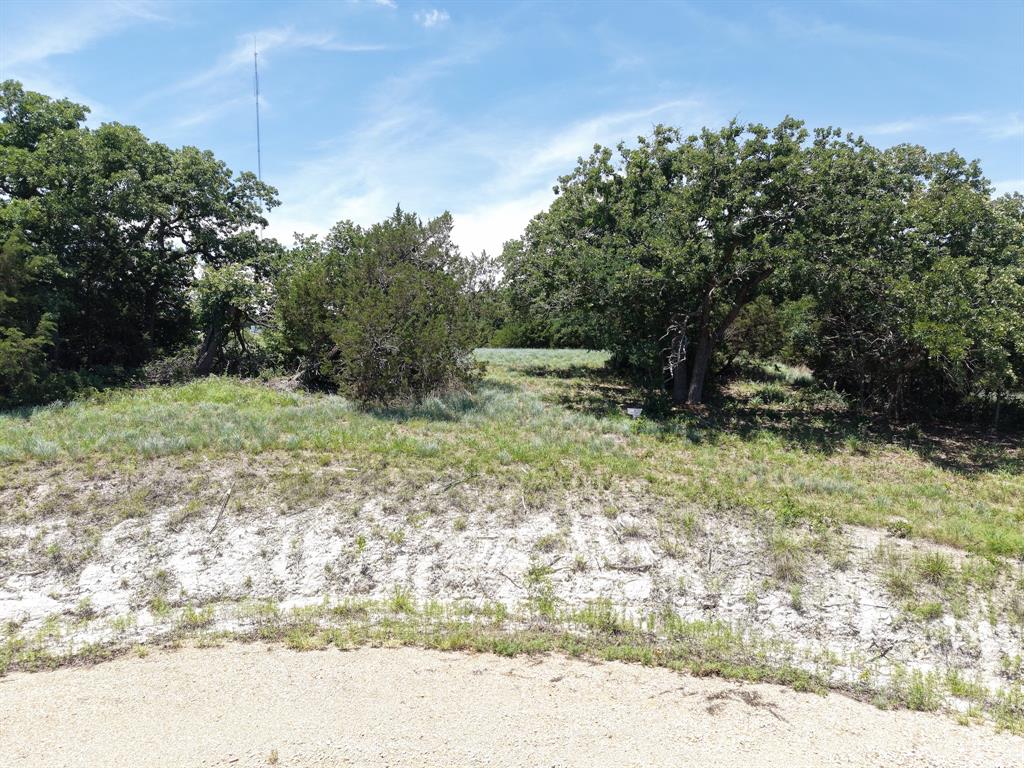 Tbd Tbd Turkey Court Perrin, TX 76486 - Photo 2 of 3 a view of outdoor space with trees all around