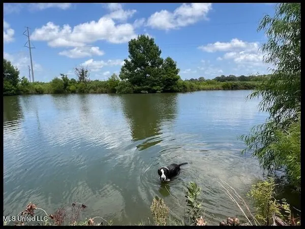 $399,900 | 17829 B Highway 315, Sardis, MS 38666