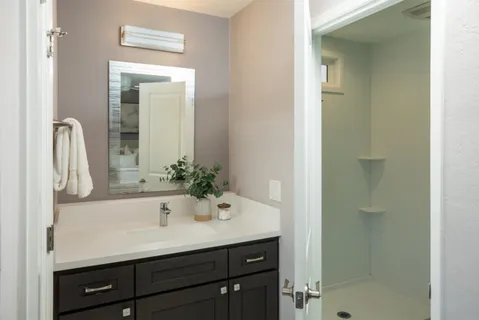 a bathroom with a sink a shower and a mirror
