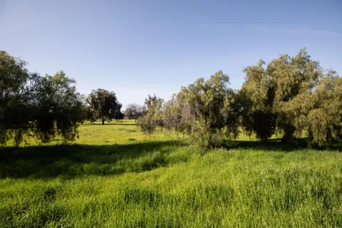 a view of swimming pool is middle in the green field