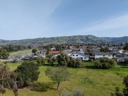 an aerial view of residential houses with outdoor space and trees