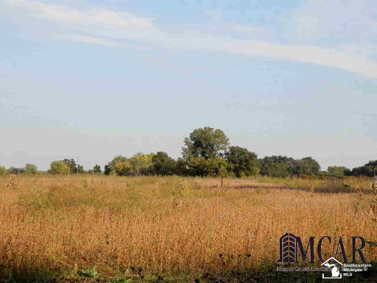 0 Ida Maybee Road Monroe, MI 48161 - Photo 2 of 2