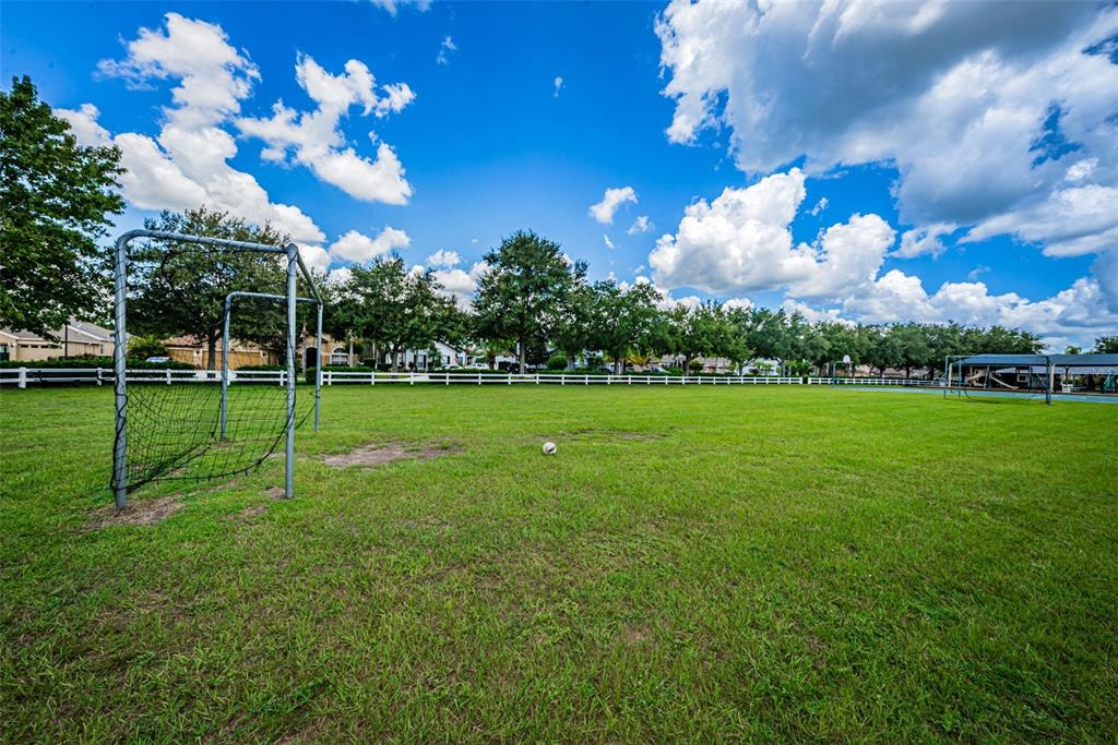 16207 Rambling Road Odessa, FL 33556 - Photo 74 of 76