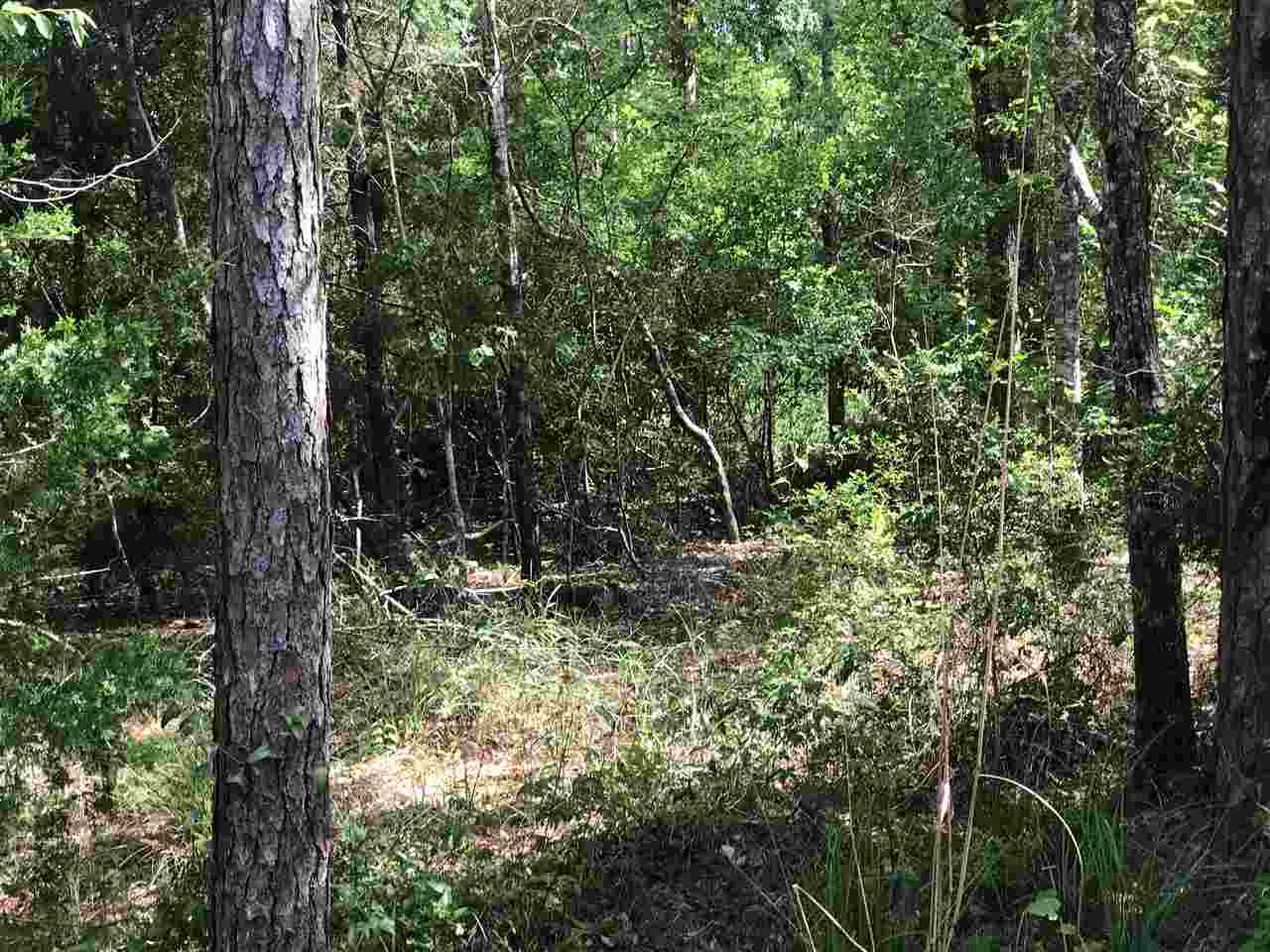 0 Boynton Road Elberta, AL 36530 - Photo 5 of 29
