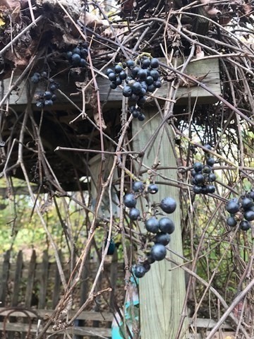 230 Millers Falls Road Northfield, MA 01360 - Photo 37 of 42