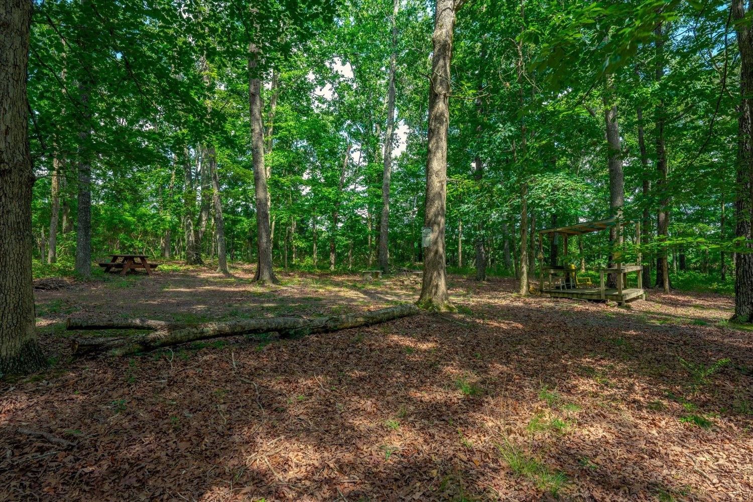 124 Napier Road Hohenwald, TN 38462 - Photo 76 of 83