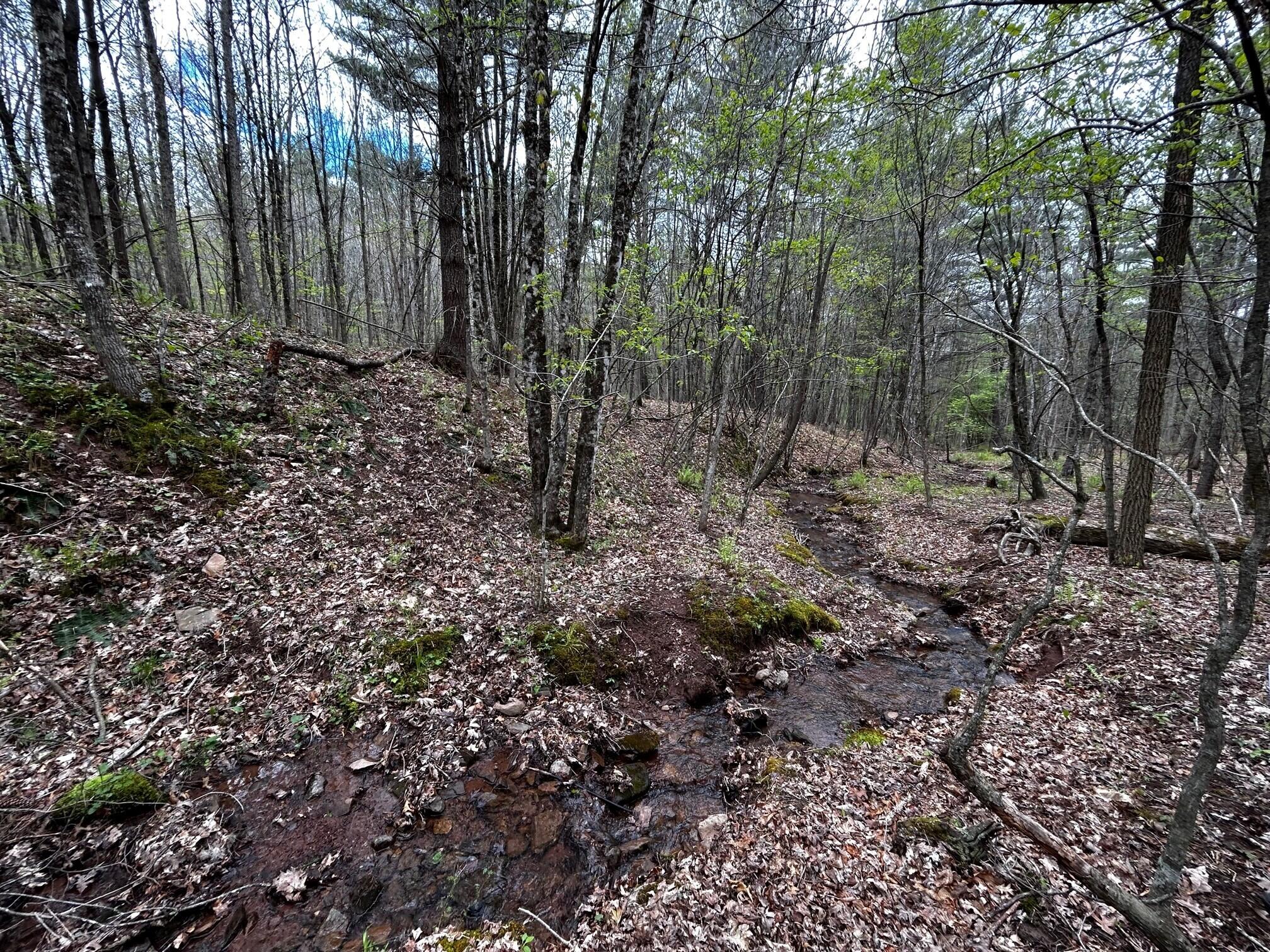 Wolf Hills Road Gap Mills, WV 24941 - Photo 10 of 15 Gallery Image 10