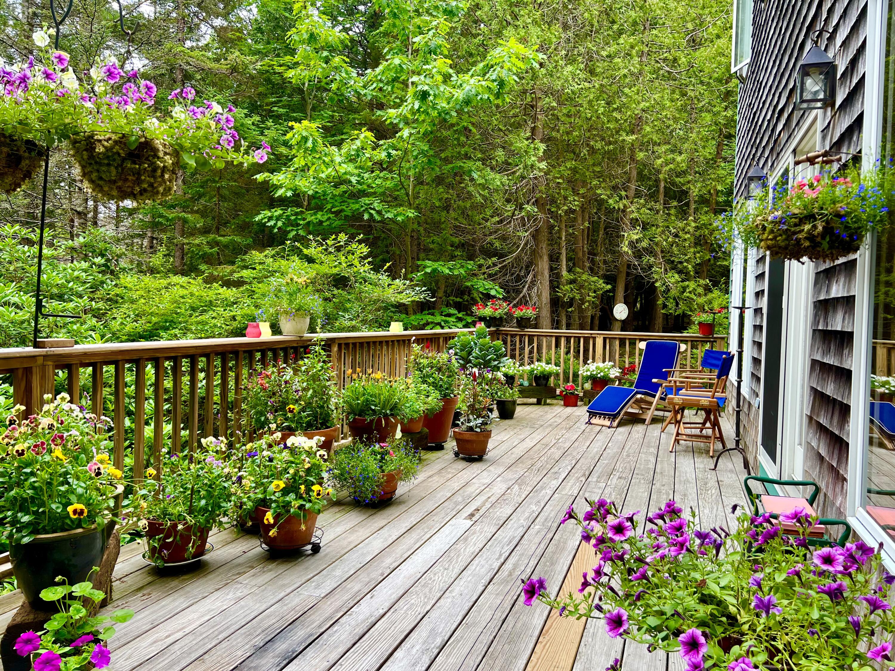 7 Cobbles End Mount Desert, ME 04660 - Photo 8 of 50 Back deck