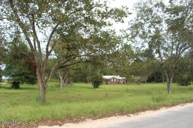 5506 Friendship Church Road Malone, FL 32445 - Photo 57 of 67
