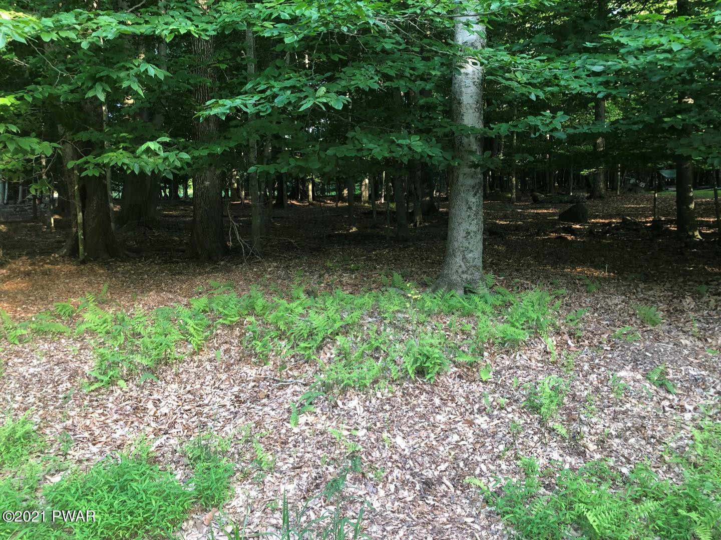 26 Deer Valley Road Lake Ariel, PA 18436 - Photo 3 of 11