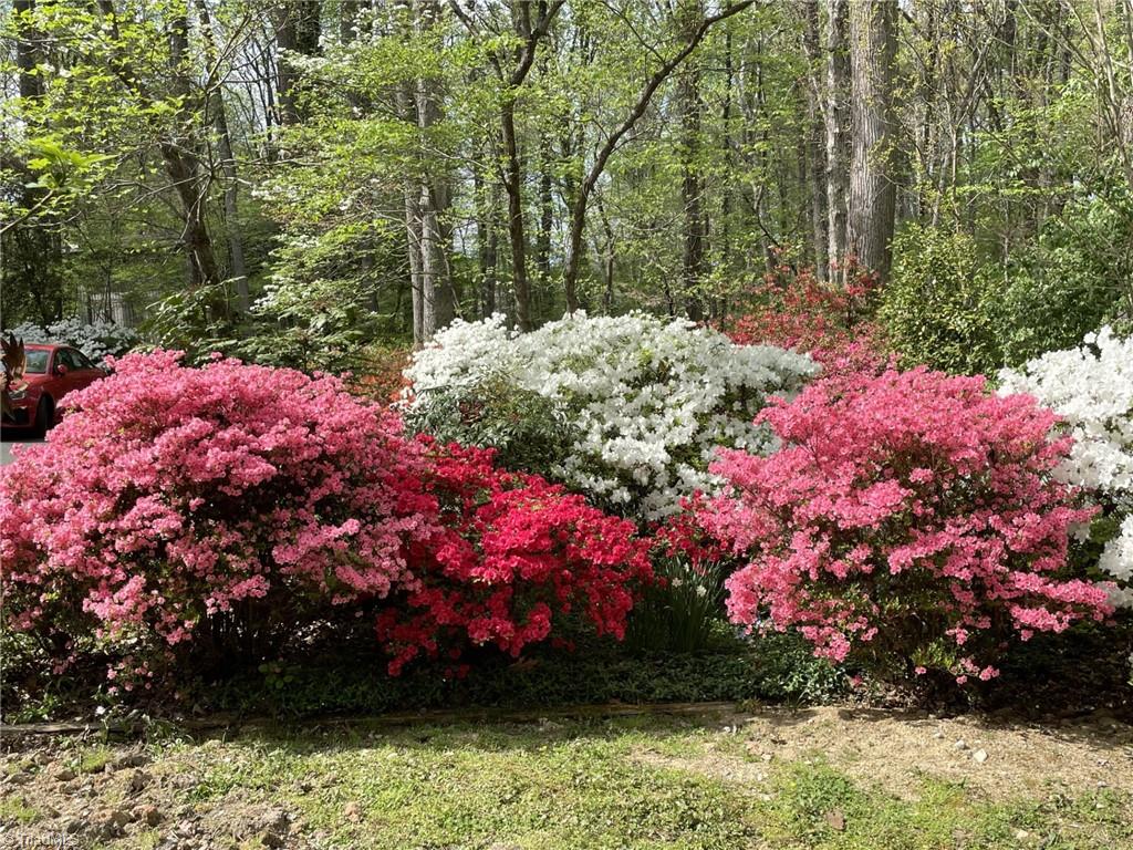 3559 Old Onslow Road Greensboro, NC 27407 - Photo 48 of 50