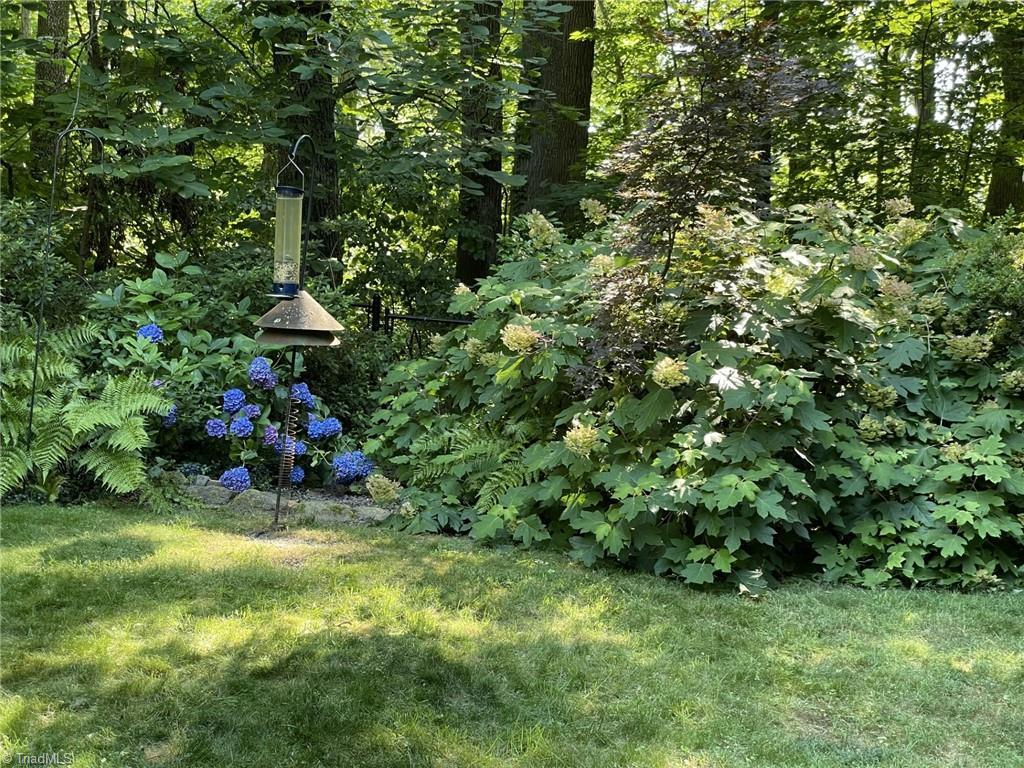 3559 Old Onslow Road Greensboro, NC 27407 - Photo 49 of 50